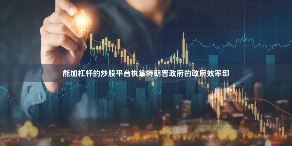 能加杠杆的炒股平台执掌特朗普政府的政府效率部