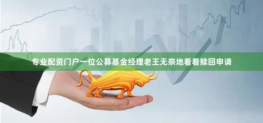 专业配资门户一位公募基金经理老王无奈地看着赎回申请