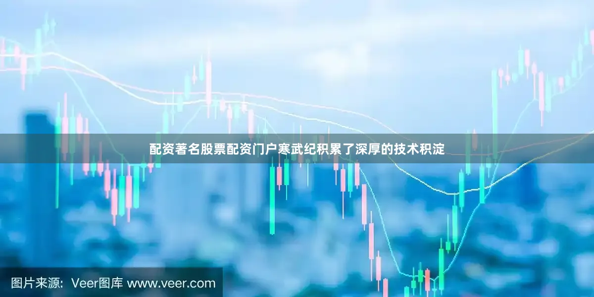 配资著名股票配资门户寒武纪积累了深厚的技术积淀