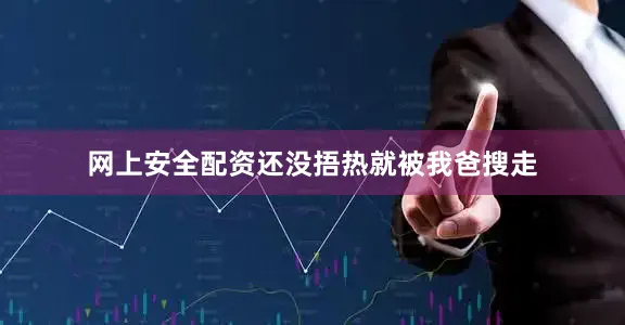 网上安全配资还没捂热就被我爸搜走