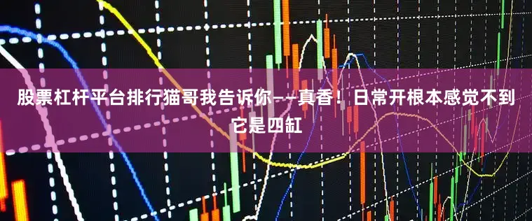股票杠杆平台排行猫哥我告诉你——真香！日常开根本感觉不到它是四缸